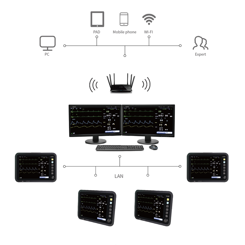 central monitor 8000C 