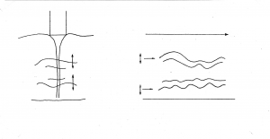 M Ultrazvuk