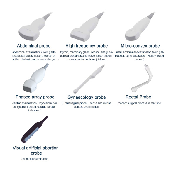 ultrasound machine probe