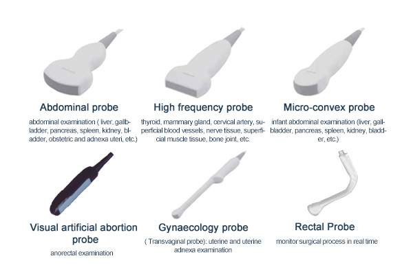 ultrasound machine Probe